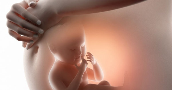 කුස ඇතුලේදීම දරුවා මේ දේවල් ඉගෙන ගන්නවා කියලා ඔබ දන්නවද? | 3 Things a Child Learns While in the Womb