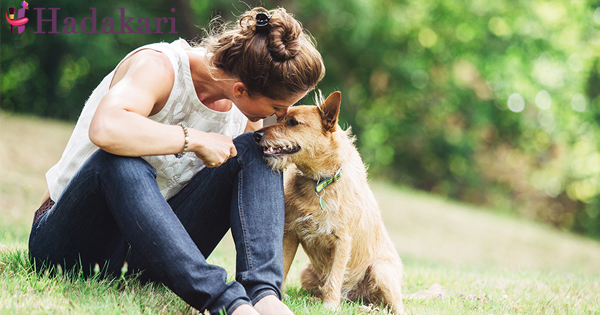 ඔබ ඔබේ සුරතලා සමඟ දිනපතා කතා කරනවාද? ඒකෙන් ලැබෙන ප්‍රතිඵල මෙන්න | Benefits you get when you talk to your pet