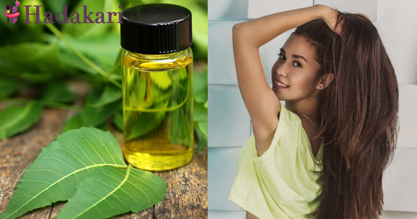 පිරිපුන් නිරෝගී කෙස් කළඹක් සඳහා ස්වභාවික රහසක් | How neem oil can help to have full healthy hair