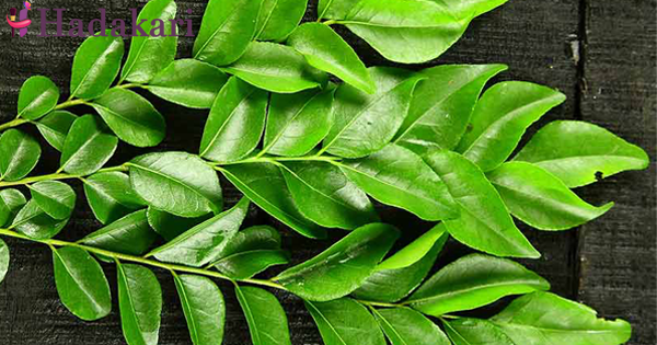 මේ ලෙඩරෝග සුව කරගන්න ඕන නම් කරපිංචා ටිකක් වැඩිපුර කන්න | Eat more curry leaves to get rid of these diseases