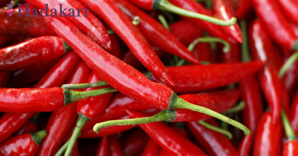 මිරිස් දිවට සැර වුනත් පෙනහළු පිළිකා වලට විසඳුමක් වෙන්නේ මෙහෙමයි | Chilli and pepper slow down the development of lung cancer