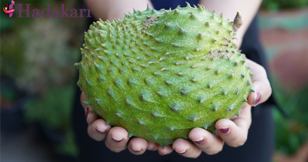 Soursop a solution for so many diseases